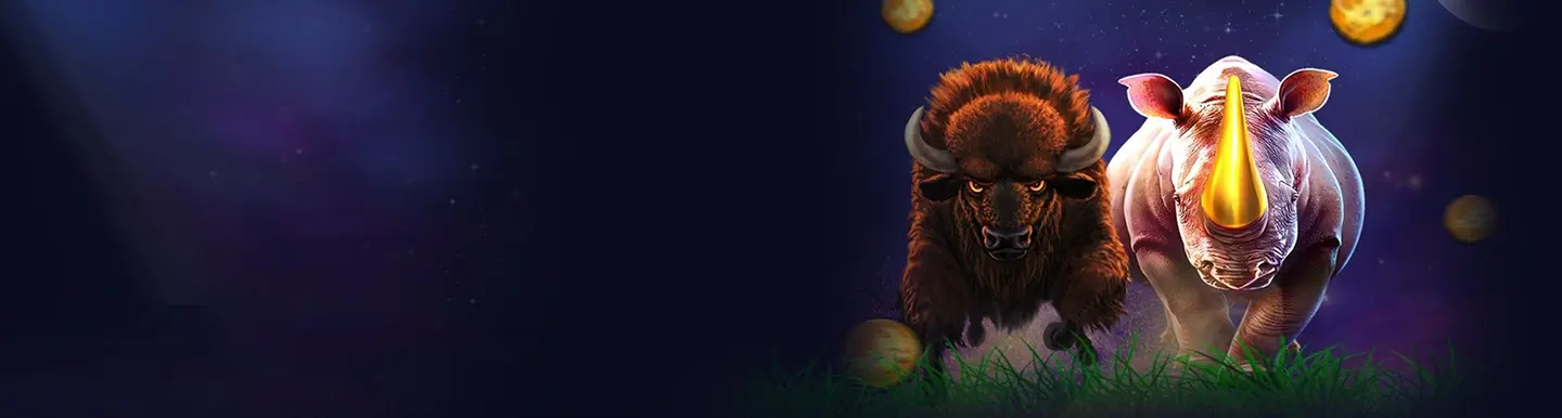 20Bet App